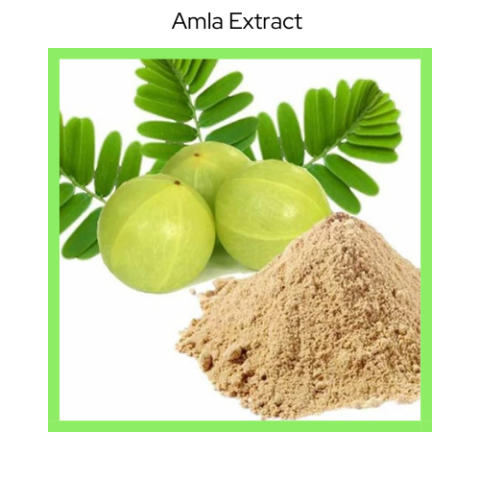 AMLA EXTRACT (Indian Gooseberry)