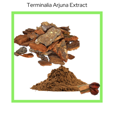 TERMINALIA ARJUNA EXTRACT