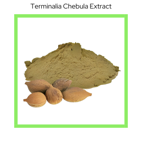 TERMINALIA CHEBULA EXTRACT