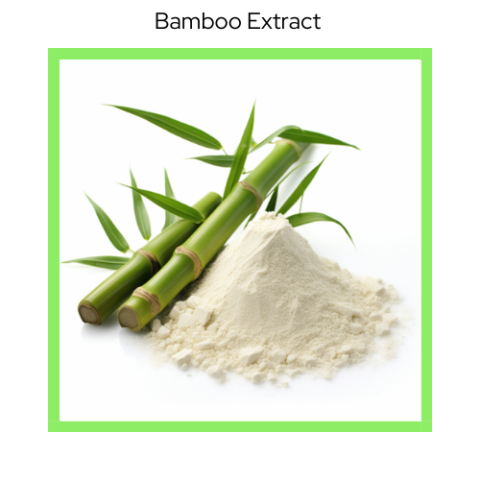 BAMBOO EXTRACT