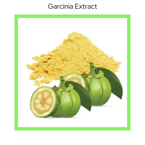 GARCINIA EXTRACT