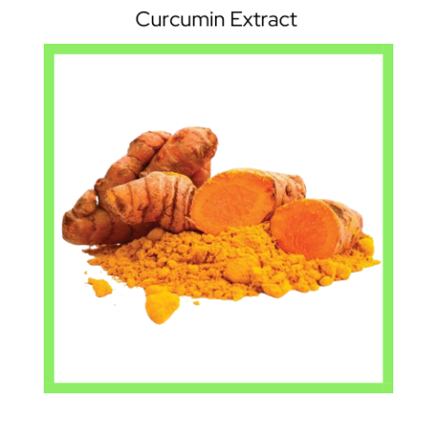 CURCUMIN EXTRACT