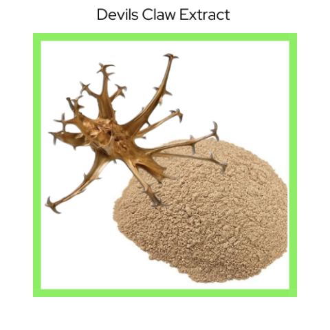 DAVILS CLAW EXTRACT