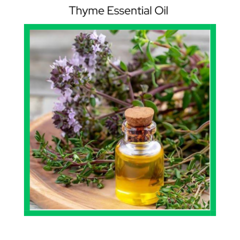 Thyme Essential oil