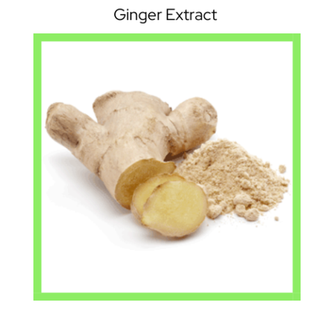 GINGER  EXTRACT