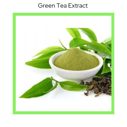 Green Tea Extract