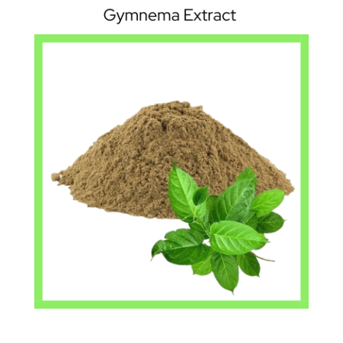 GYMNEMA EXTRACT
