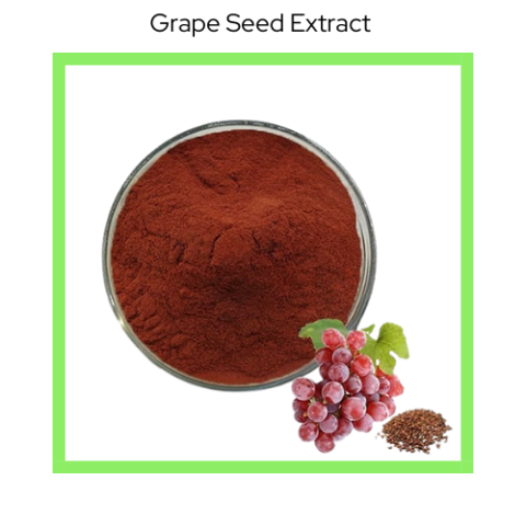 GRAPE SEED  EXTRACT