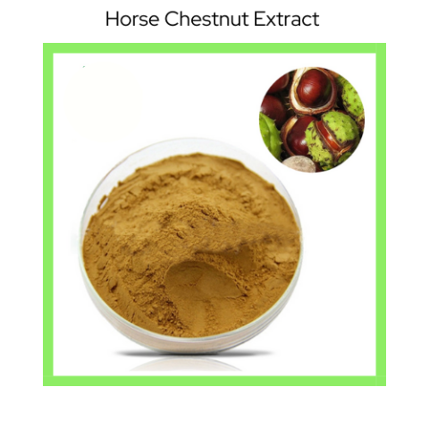 HORSECHEST NUT EXTRACT