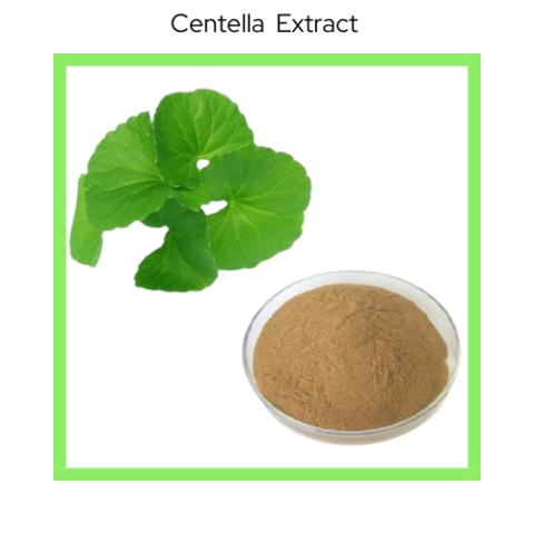 CENTELLA EXTRACT