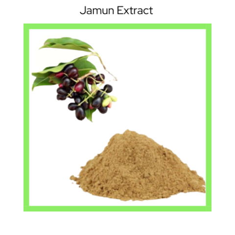 JAMUN EXTRACT