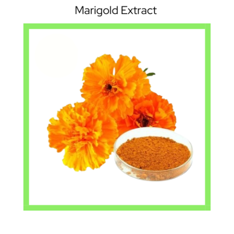 MARIGOLD EXTRACT