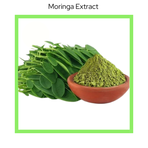 MORINGA LEAF EXTRACT