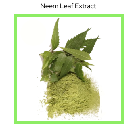 NEEM LEAF EXTRACT