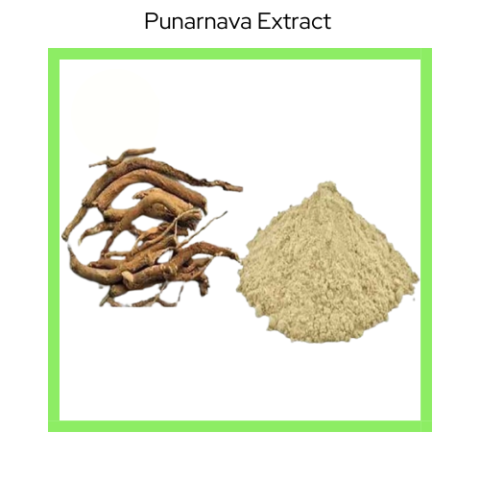 PUNARNAVA  EXT