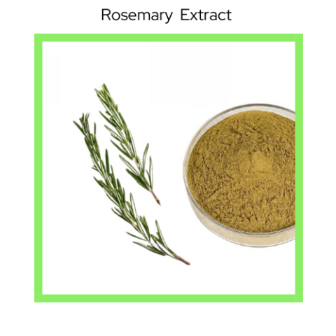 Rosemary Extract