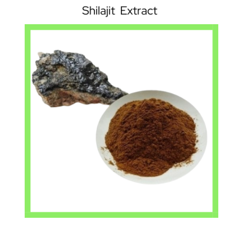SHILAJIT EXTRACT