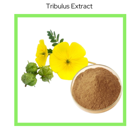 TRIBULUS EXTRACT