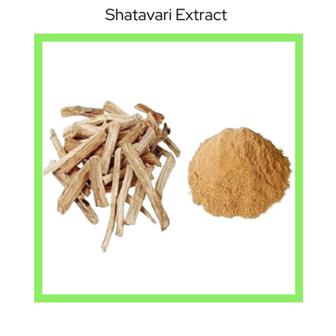 SHATAWARI EXTRACT