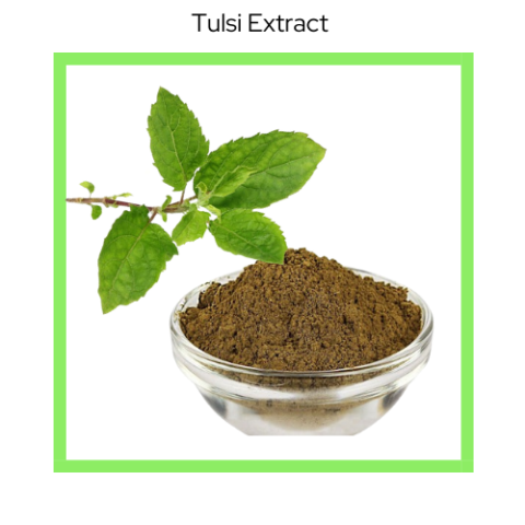 TULSI EXTRACT