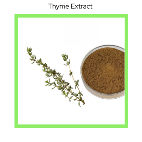 Thyme extract