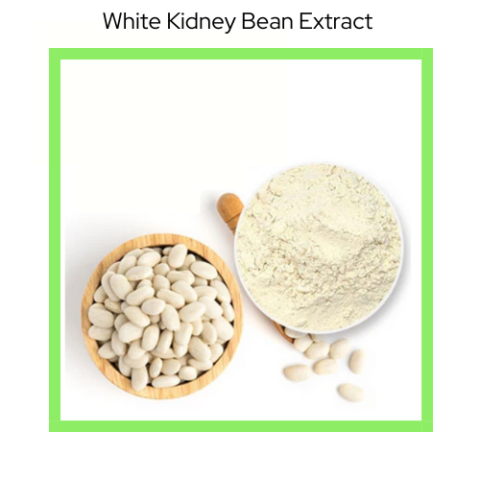 WHITE KIDNEY BEAN EXTRACT