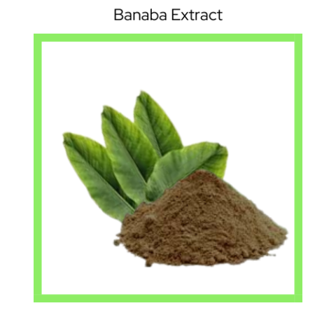 BANABA  EXTRACT