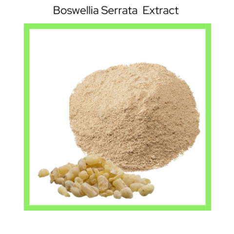 BOSWELLIA SERRATA EXTRACT
