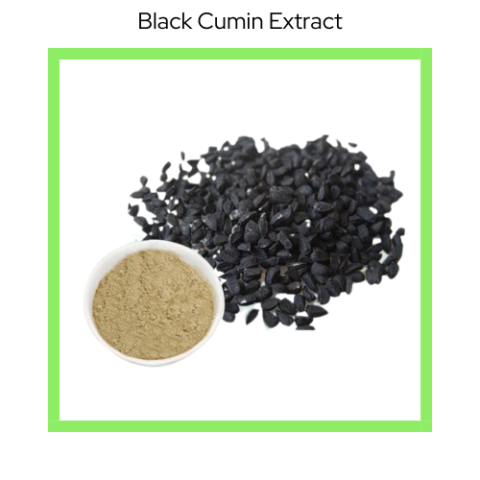 BLACK SEED EXTRACT