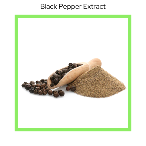 BLACK PEPPER  EXTRACT