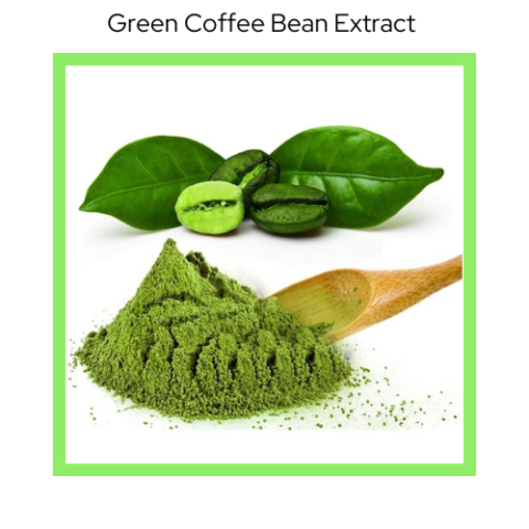 Green Coffee Extract
