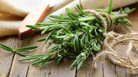 Unlocking the Power of Rosemary Extract: Nature’s Secret Weapon